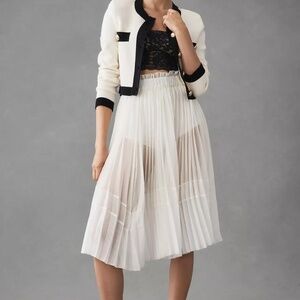 NWT Anthropologie Let Me Be Sheer pleated A-line skirt L